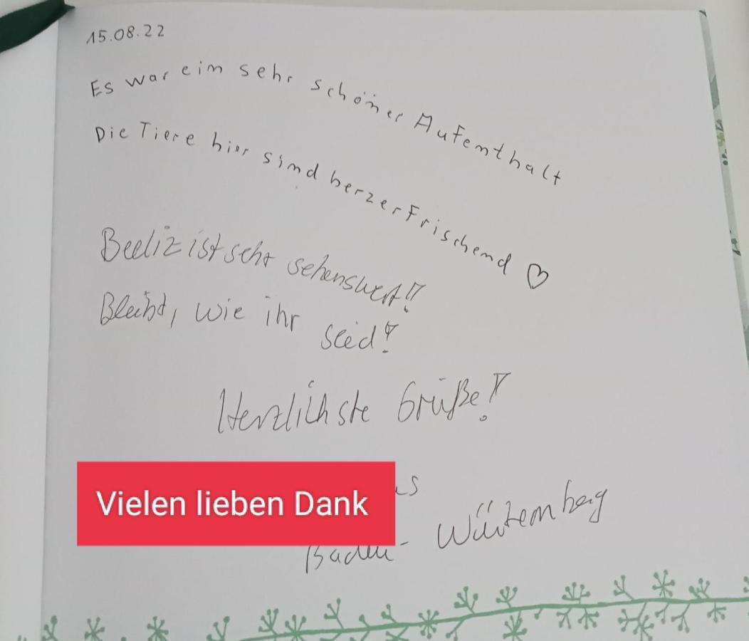 Ferienzimmer Waldzauber Borkwalde ภายนอก รูปภาพ