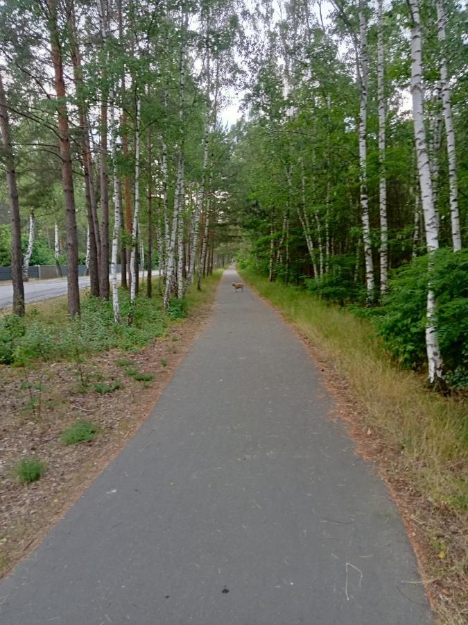 Ferienzimmer Waldzauber Borkwalde ภายนอก รูปภาพ