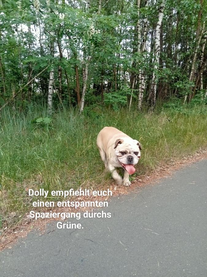 Ferienzimmer Waldzauber Borkwalde ภายนอก รูปภาพ