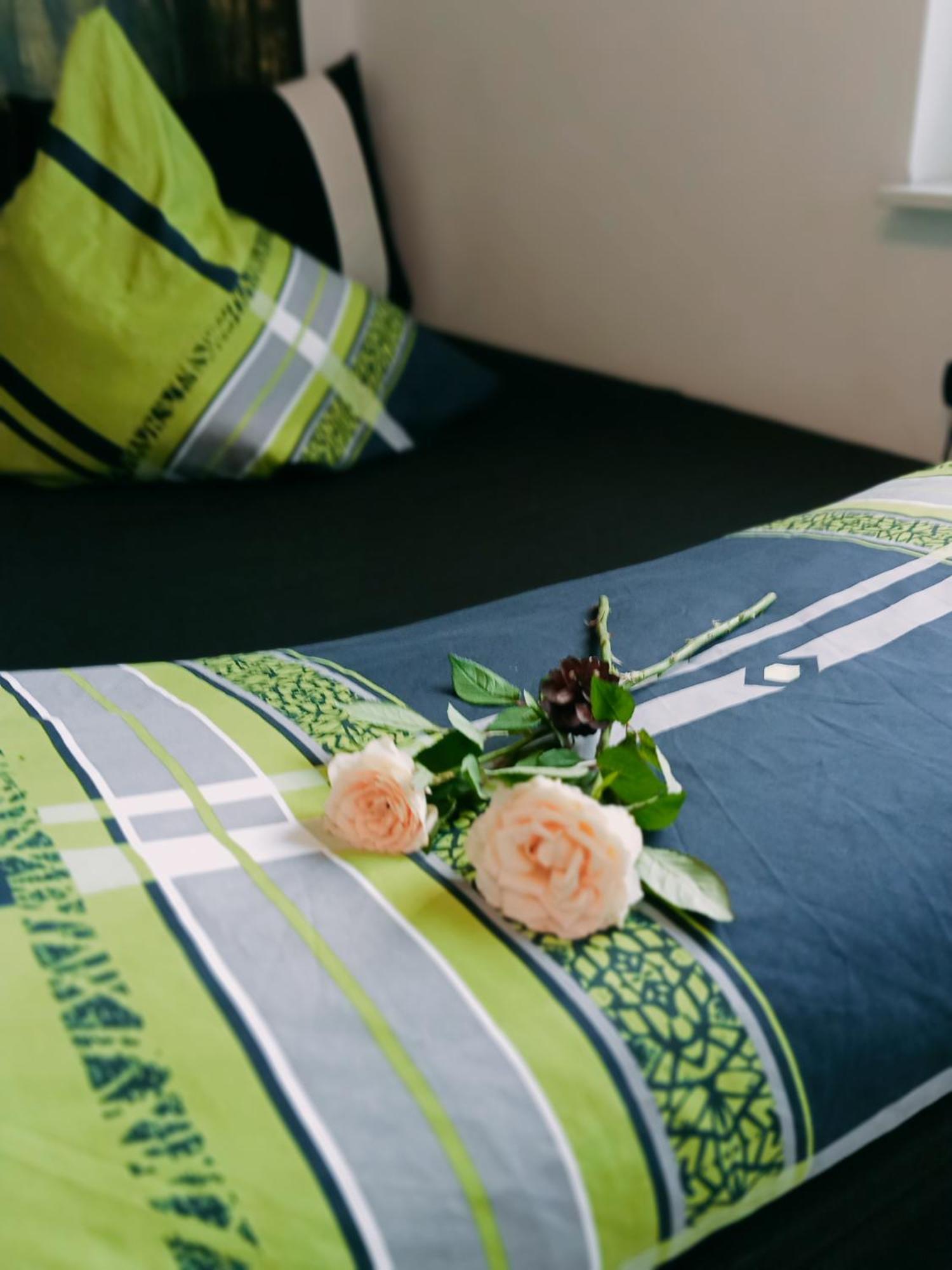 Ferienzimmer Waldzauber Borkwalde ภายนอก รูปภาพ