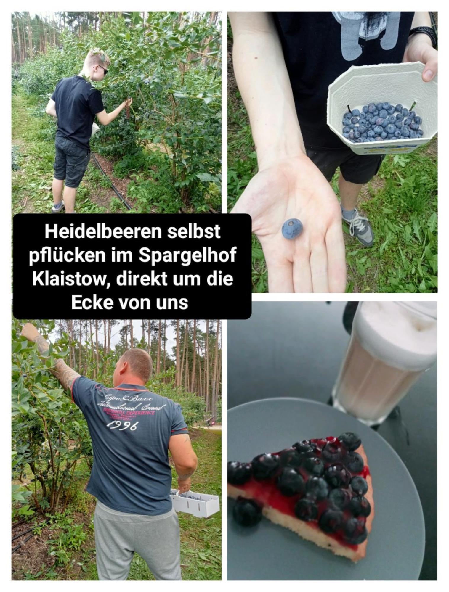 Ferienzimmer Waldzauber Borkwalde ภายนอก รูปภาพ